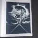 GRAFICA LUI WILLIAM BLAKE - DAN GRIGORESCU  (CABINETUL DE STAMPE 13)