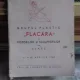 GRUPUL PLASTIC FLACARA AL PICTORILOR SI SCULPTORILOR USASZ
