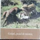 GUITEL, PUIUL DE MISTRET - HERBERT SYFARTH