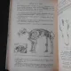 HISTOIRE DE LA TERRE, PHENOMENES ANCIENS, CLASSE DE QUATRIEME A ET B - E. AUBERT  (TEZT IN LIMBA FRANCEZA)