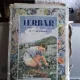 IERBAR CLASA A V-A SECUNDARA. CU O BROSURA EXPLICATIVA ILUSTRATA