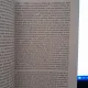 Imblanzirea Romantismului - Virgil Nemoianu