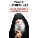 IN CER CU INGERII SI PE PAMANT CU OAMENII - PARINTELE PAISIE OLARU