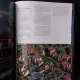 IN PRAISE OF PRAGMATISM, FISHER FRIEDMAN ASSOCIATES  (CARTE IN LIMBA ENGLEZA, EDITIE ILUSTRATA)