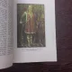Indrumator bisericesc misionar si patriotic Vol.3/1987