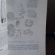 INDRUMATOR DE LUCRARI PRACTICE PENTRU MESERIA VETERINAR - MARIA MOISIU