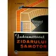 INDRUMATORUL ZIDARULUI SAMOTOR - V. NITESCU
