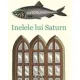 INELELE LUI SATURN - W.G. SEBALD