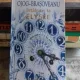 INTALNIRE LA ELYSEE - RODICA OJOG BRASOVEANU
