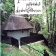 INTOARCEREA PARINTELUI ANDREI PATRASCU - ALEXANDRU LASCAROV MOLDOVANU