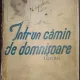 Intr un camin de domnisoare / Anisoara Odeanu