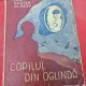 Ion Costea Plaesu - Copilul din Oglinda