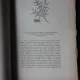 ISTORIA BIBLICA IN LUMINA CERCETARILOR SI DESCOPERIRILO CELOR MAI NOUA, NOUL TESTAMEN - A.P. LOPUHIN, VOL.VI, TRADUCERE DE NICODIM PATRIARHUL ROMANIEI