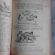 ISTORIA PAMANTULUI SI GOELOGIA R.P.R.