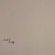 Jules Perahim, L Alphabet – Woman and Lion / Kaf – litografie originala