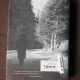 JURNALUL DE LA PALTINIS - GABRIEL LIICEANU