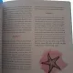Las chicas van donde Quieren. 25 aventureras que cambiaron el mundo - Irene Civico