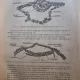 Lecons d'embryologie humaine avec notions elementaires sur les principales malformations congenitales - G Dubreuil (cu dedicatia doctorului profesor George Severeanu pentru nepotul Milcoveanu)