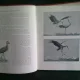 LES ANIMAUX VIVANTS DU MONDE - CHARLES J. CORNISH