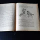 LES CONTES DE SHAKESPEARE - CHARLES LAMB  (CARTE IN LIMBA FRANCEZA)