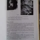 LES MINERAIS URANIFERES FRANCAISE ET LEURS GISEMENTS - MARCEL ROUBAULT   VOL.1