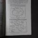 LES ONDES FLUORESCENTES DANS LE SUBSTRATUM DE LA MATIERE - STEFAN CHRISTESCO  (TEXT IN LIMBA FRANCEZA)