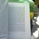 L ontologia fenomenologica di Teilhard de Chardin - Georgio Straniero  (Ontologia fenomenologică a lui Teilhard de Chardin - carte in italiana)