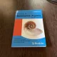 Luminita Curtui - Memorator de matematica, algebra, pentru clasele IX-XII