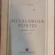 M. A. Pavlov - Metalurgia Fontei