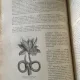 M. Em. Le Maout - Botanique. Organographie Et Taxonomie. Histoire Naturelle des Familles Vegetales