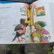 MAGAZINUL FERMECAT -SILVIA CHITIMIA