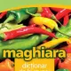 Maghiara dictionar de buzunar , Linghea
