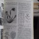 MAREA ENCICLOPEDIE AGRICOLA - C. FILIPESCU VOL.2