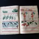 MATEMATICA , MANUAL PENTRU CLASA I - VASILE MOTRESCU, 1988