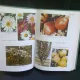 MICA ENCICLOPEDIE DE HORTICULTURA - VASILE SONEA
