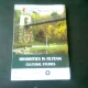 MINORITIES IN OLTENIA, CULTURAL STUDIES - CARMEN IONELA BANTA  (MINORITATI IN OLTENIA, STUDII CULTURALE)