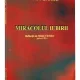 MIracolul iubirii - Paul Ferrini