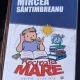 Mircea Sintimbreanu - Recreatia Mare