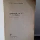 MODELE DE TRICOTAT CU ANDRELELE - VIORICA BOCIORT STANESCU