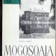 Mogosoaia - Radu Popa