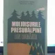 Molidisurile Pesubalpine din Romania - Constantin Sindiu