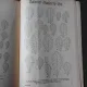 MONOGRAFIA STEJARILOR DIN ROMANIA - C. GEORGESCU
