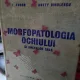 Morfopatologia ochiului si anexelor sale - F. Fodor