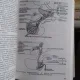 NEUROENDOCRINOLOGIE CLINICA - MIHAIL COCULESCU