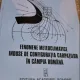 Nicolae Ion Bordei - Fenomene Meteoclimatice induse de configuratia Carpatilor in Campia Romana