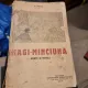 Nicolae Popa - Hagi-Minciuna. Schite si Nuvele