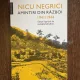 NICU NEGRICI AMINTIRI DIN RAZBOI