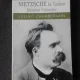 NIETZSCHE LA TORINO, SFARSITUL VIITORULUI - LESLEY CHAMBERLAIN