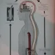 NOTRE VIE SEXUELLE - FRITZ KAHN  (CARTE IN LIMBA FRANCEZA)