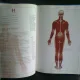NOU ATLAS DE ANATOMIE UMANA - THOMAS MCCRACKEN